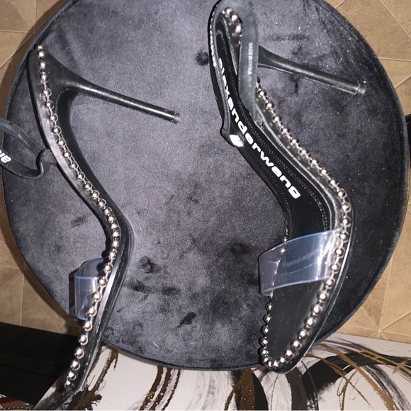 Alexandra Wang - Picture 5 of 6